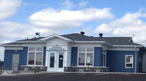 Our Clinic